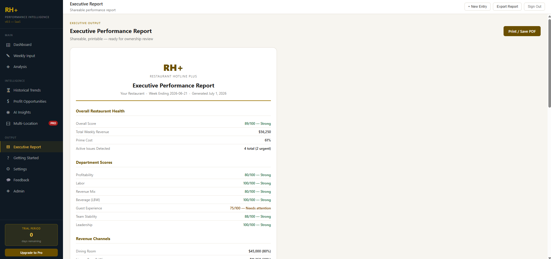 A real RH+ Executive Report — shareable, printable, ready for ownership review